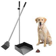 We did not find results for: Scenereal Pet Poop Tray Spade Set Dog Cat Waste Removal Scoop With 37 4 Long Handle Buy Online In Bahamas At Bahamas Desertcart Com Productid 157868612
