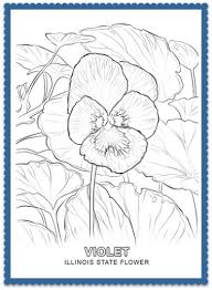Trim the cardboard around the square. Illinois State Flower Violet By Usa Facts For Kids Flower Coloring Pages Flag Coloring Pages Coloring Pages