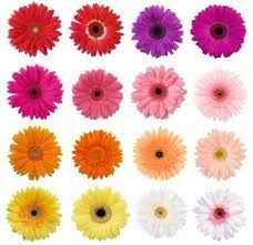Pin On Wedding Flowers