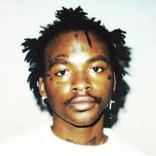 Stream Swimming by Terry Presume