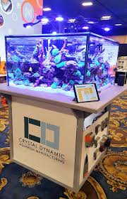 As juveniles they will thrive within groups of around 4 or 5. 240 300 Gallon Walk Around Cube Tank W Steel Stand Crystal Dynamic Aquarium Mfg