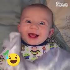 This ain't no petting zoo! 🦒