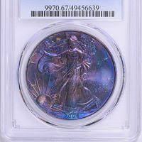 Image result for Arctic Silver 2004 1 Series