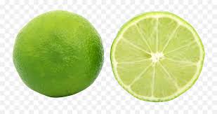Our database contains over 16 million of free png images. Drawing Lemons Sweet Lime Transparent Green Lemon Slice Png Free Transparent Png Images Pngaaa Com