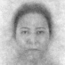 Analysis of the Visual Perception of the Competences of Project Managers