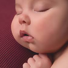 Nashville Newborn & Child Photographer