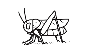 un cricket sur l'illustration au sol. dessin animé incolore pour les  activités de dessin et