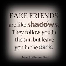 Fake Friends Fake Friends Lessons Learned In Life Friends Are Like
