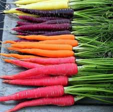 What color is a carrot. The Different Colors Of Carrots Interestingasfuck