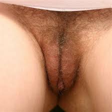 Feel free to reach to let us know if you have any comments or questions. Puffy Cameltoe Pussy 37317 Big Pussy Lips Camel Toe Cameltoe