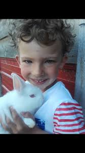 Levi's Polish Rabbits