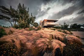 Image result for Atalaya