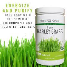 Organic Barley Grass Powder Nubeleaf In 2021 Barley Grass Barley Barley Health Benefits