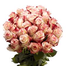 Burgundy cream flowers illustrations & vectors. Extra Long Stemmed Burgundy Cream Roses Globalrose