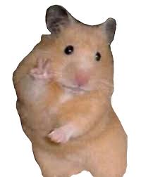 Look at bilder igel png. Peace Sign Hamster Meme Png Profilbilder Lustige Hamster Lustige Profilbilder