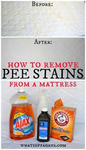 How To Easily Remove Old Pee Stain And Smell From A Mattress Pee Stains Cleaning Hacks House Cleaning Tips
