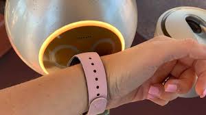 The apple watch is one of the most popular smartwatches on the market. 15 Most Important Questions About Magicbands Travelingmom