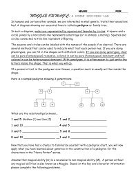 23 unfolded human pedigree analysis problem sheet key