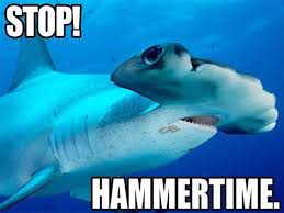 The bull shark, she's about to fight this biggest shark. The 25 Funniest Shark Memes Sharks Funny Shark Week Memes Shark Puns