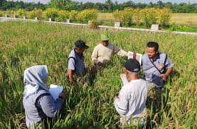 Kepimpinan sains dan teknologi di dunia islam kemudiannya diambil alih oleh barat akibat kecuaian umat islam itu sendiri dalam mempertahankannya selain usaha barat yang mencemburui era keemasan itu sebelum ianya hancur dirempuh oleh tentera mongol di abad ke 13. Lawan Hama Dengan Serangga