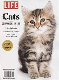 Life Special 2019 Cats Companions In Life Amazon Com Books Cats Cat Magazine Pet Clinic