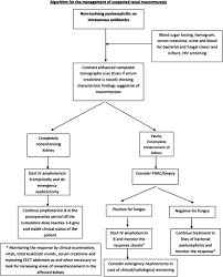 These include the development of new and more widely used molecular techniques for the diagnosis of mucormycosis, the licensing of isavuconazole for treatment of mucormycosis, and the availability of new formulations of posaconazole. Isolated Renal Mucormycosis In Immunocompetent Hosts Clinical Spectrum And Management Approach In The American Journal Of Tropical Medicine And Hygiene Volume 100 Issue 4 2019