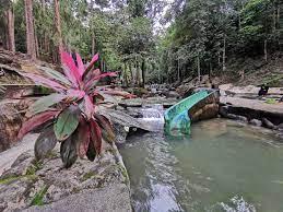 Pantai yang terletak di teluk bahang ini menjadi salah satu tempat untuk liburan yang harus masuk dalam daftar tempat rekreasi anda yang akan ke penang malaysia. Bercuti Di Teluk Bahang Penang Percutian Bajet