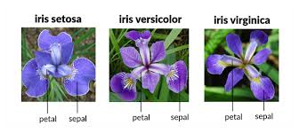 Maybe you would like to learn more about one of these? Nivitus Medium