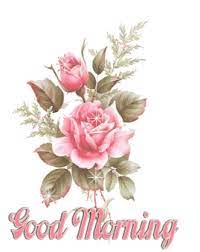 155+ best good morning wishes | latest. Foch Witam W Pochmurna Niedziele Good Morning Gift Good Morning Animation Good Morning Gif Images