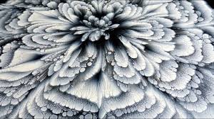 Acrylic Black And White Flower Painting 386 Black White Cup Bottom Acrylic Pour Flower Painting Must See Paint Withme Youtube In 2020 Acrylic Pouring Pouring Painting Acrylic Pouring Art