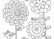 The butterfly coloring pages add spark to the kids' imagination and greatly enhance their creative skills. Garden Coloring Pages Printables Education Com