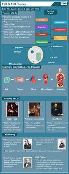 Maybe you would like to learn more about one of these? What Is Cell Theory