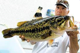 The most popular species caught here are largemouth bass, striped bass, and channel catfish 420 catches are logged on fishbrain. Georgetown Man Scores State S Largest Bass Ever Cape Gazette