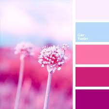 Pin By Jeongseon On Kritzeln Farbkombination Farbpalette Farbtrends Wandfarbe Color Palette Pink Color Palette Color Balance
