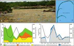 la investigacion....indb