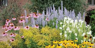 Low Water Plants Eco Friendly Landscapes High Country Gardens Low Water Plants Draught Tolerant Landscape