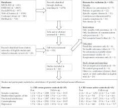 By davina franks, claire davies review we ta. Plos One The Effectiveness Of Various Computer Based Interventions For Patients With Chronic Pain Or Functional Somatic Syndromes A Systematic Review And Meta Analysis