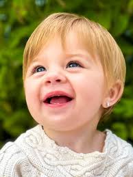 What are some good digital cameras for beginners?