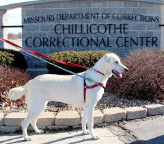 We did not find results for: Puppies For Parole Has 1st Pharm Dog News Chillicothe News Chillicothe Mo Chillicothe Mo