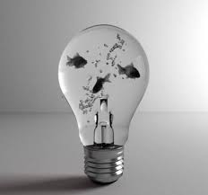 Image De Fish Black And White And Black Light Bulb Art Light Bulb Bulb
