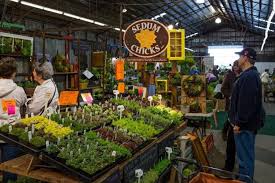 What to expect from exhibiting at a show technology home and garden show and how it can benefit your business. Home Garden Show Winter Fort Myers 2022 A Home And Garden Show In