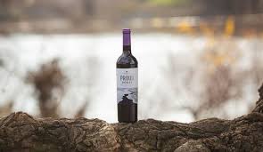 Kings And Bogle Vineyards Release Proud Roots 2016 Vintage Wine With Images Vintage Wine Wine Wine News