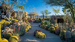 With point2, you can easily browse through cactus city, ca single family homes for sale, townhouses, condos and commercial properties, and quickly get a general. Why Cactuses And Succulents Are The Perfect Plants For This Cultural Moment Curbed