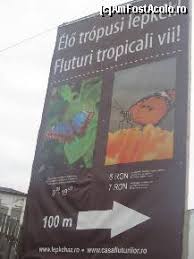 Vremea, meteo pentru următoarele 3 zile în județele româniei are un grad de precizie apropiat de 95%, iar pentru următoarele 7 zile în românia gradul de precizie este de 85% și pentru următoarele 10 zile. Casa Fluturilor Vii De La Praid Impresii Casa Fluturilor Praid Hr Amfostacolo