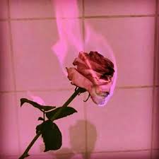 The rule of thirds gives your photos the structural foundation to be an aesthetic image. ï½ï½ï½ï½ï½ï½ï½ï½ï½ ï½ï½ï½ï½ ï½ï½ï½ï½ï½ ï½ï½ ï½ï½ ï½ï½ï½ï½ Aesthetic Pink Fire Cool Rose Flowers Facebook