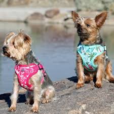 Wrap And Snap Choke Free Dog Harness By Doggie Design Pink In 2020 Dog Harness Dog Design Free Dogs