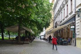 Čestné prohlášení vzor covid ke stažení. Kontrola Testovani A Ockovani Na Zahradkach Nebude Proveditelna Rika Restaurater Spolecnost Zpravy Olomoucka Drbna Zpravy Z Olomouce A Olomouckeho Kraje