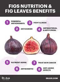 Image result for fig