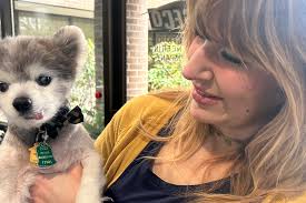 Fundraiser by Olivia Matthews : Show Love for Stephanie and Her Late Mickey  Mouse