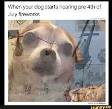 When Your Dog Starts Hearing Pre 4th Of July Fireworks Ifunny Funny Memes Funny Relatable Memes Stupid Funny Memes
